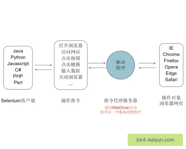 Rodri赛前准备流程揭秘，迎来重要比赛前的状态回暖。