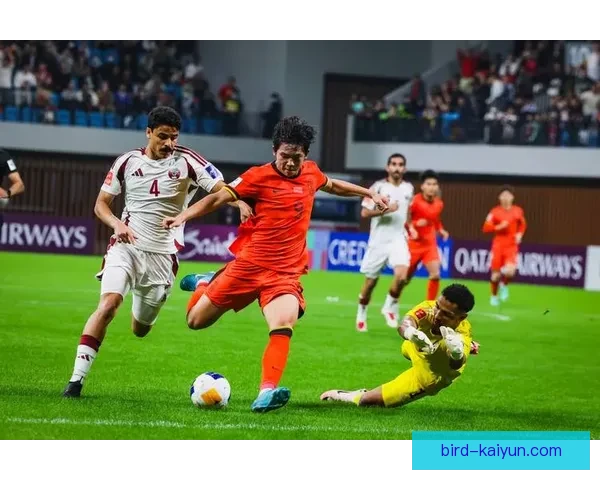 亚洲杯卡塔尔赛事筹备全面启动，球队备战状态回暖