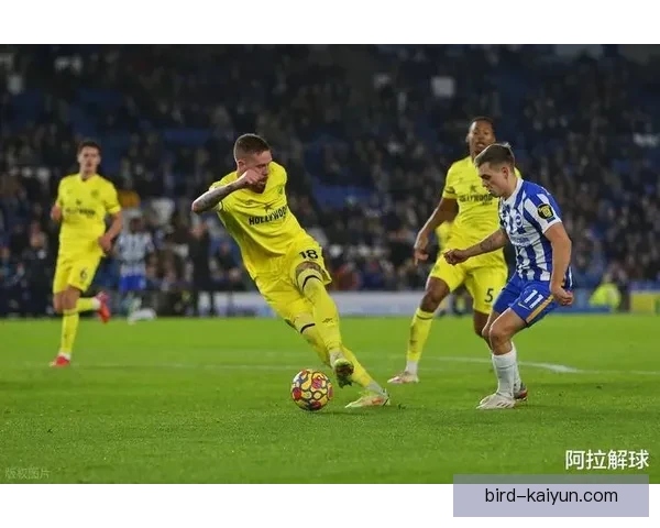 解放者杯黑马之路持续升温，球队表现稳健引发关注