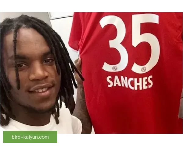 德甲转会交易记录持续更新，球队整体实力和市场动态值得关注