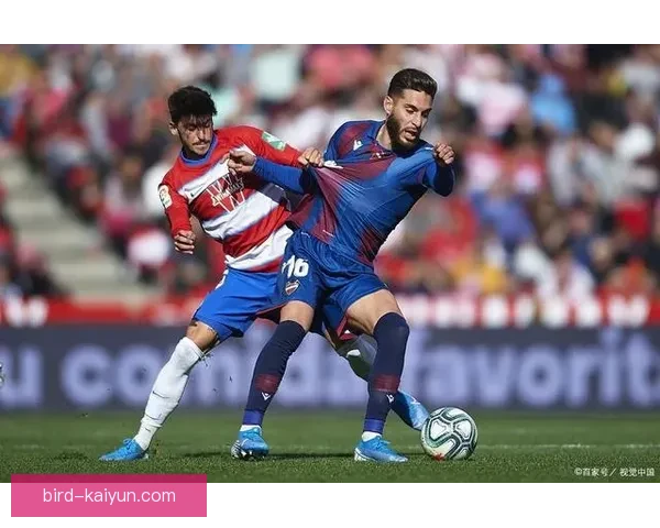 格拉纳达防线状态回暖，近期表现稳健引人关注