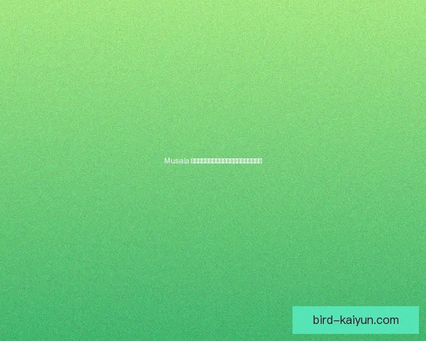 Musiala 在国家队的表现稳健，助力球队竞争力增强。