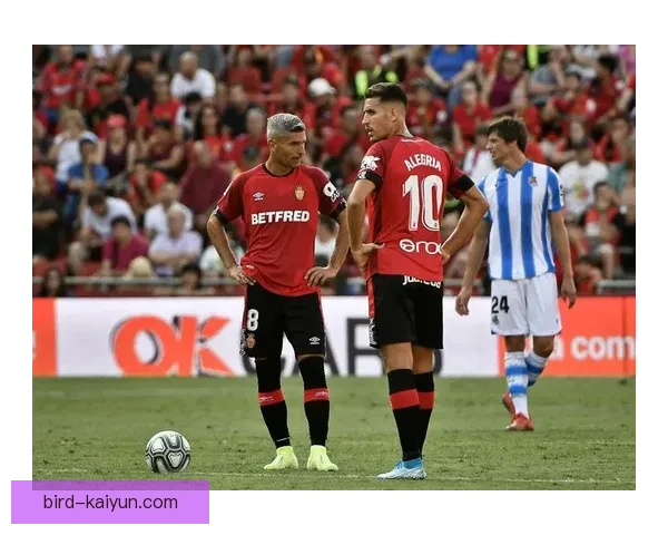 马洛卡本赛季数据分析：防守稳固，主场表现稳健