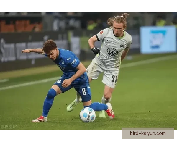 霍芬海姆青训体系实力持续提升，年轻球员表现稳健